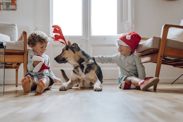 Kids in Santa hats playing with a dog on durable vinyl flooring