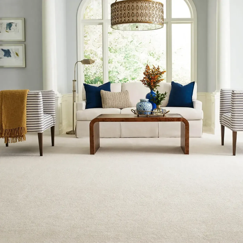 Soft carpet floors by Barrett Floors