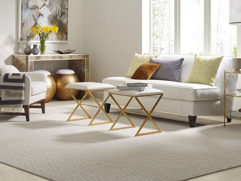 blog_473_arearugroomscene