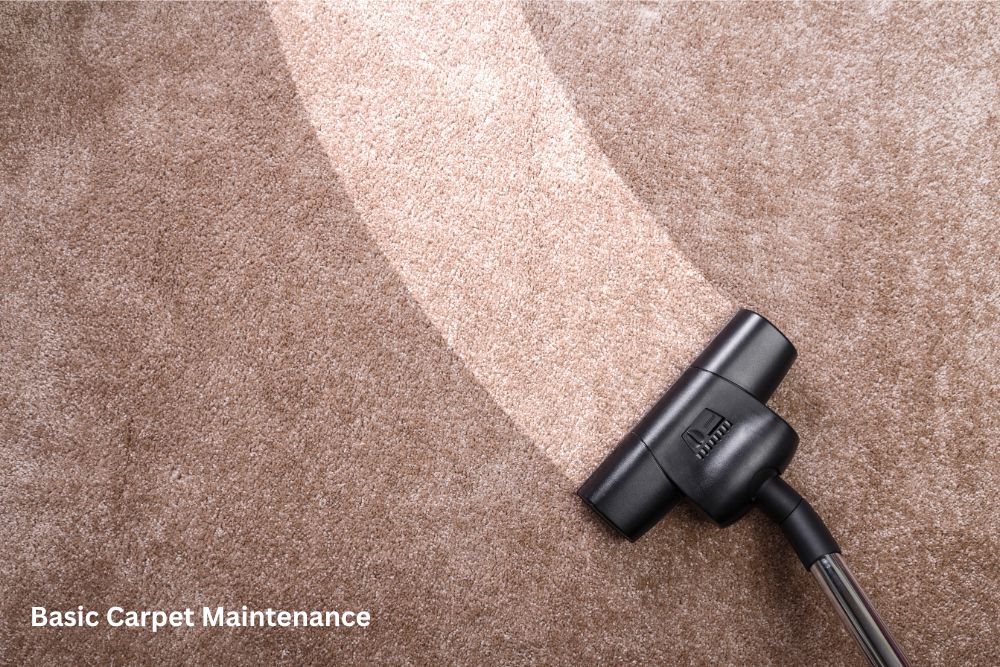 Carpet floor cleaning | Barrett Floors
