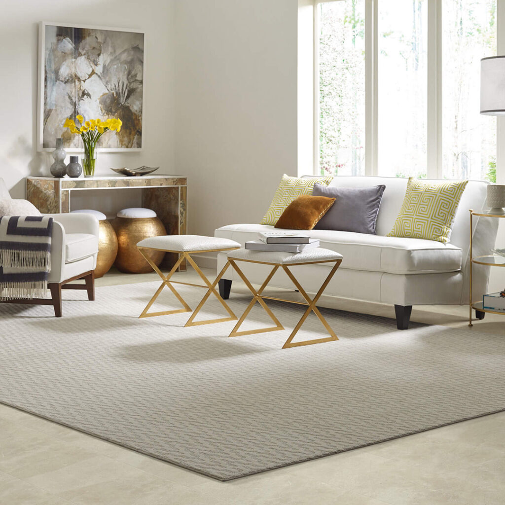 Area Rug | Barrett Floors