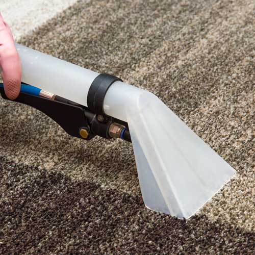 Cleaning Carpet | Barrett Floors