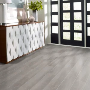 Tile with a light gray wood look, in an entryway | Barrett Floors